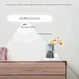 Led Cabinet Light